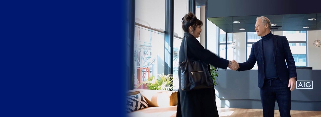 banner video purpose and values