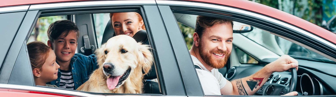  Family in a car with a dog