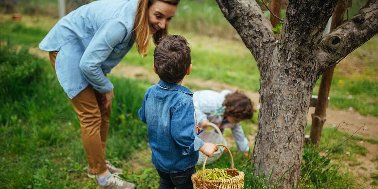Easter Hunt