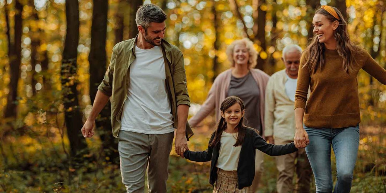 family activities in the wood