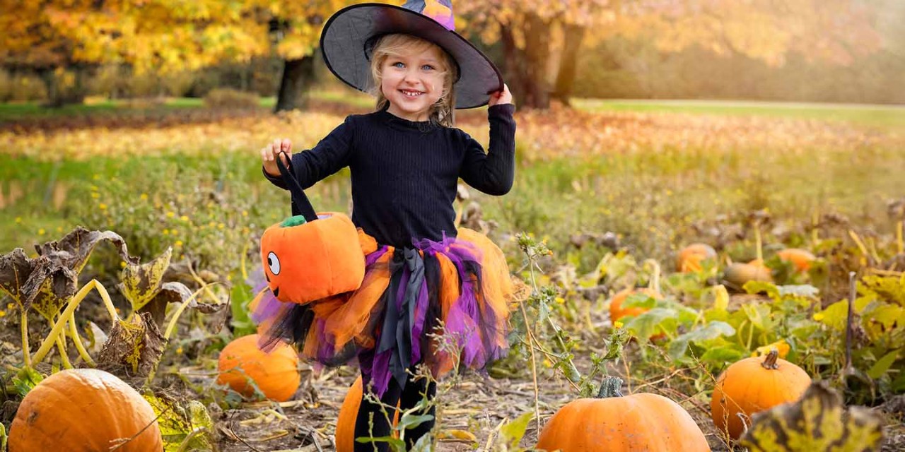 Little girl dressed up as a witch with a pumpkin bag standing in a pumpkin patch in a field besides a forest.