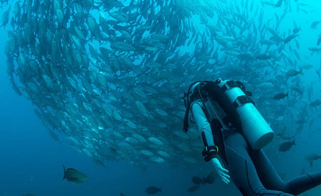  Scuba Diving Locations in Europe