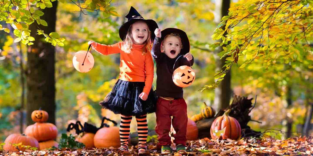 pumpkin patch kids in autumn