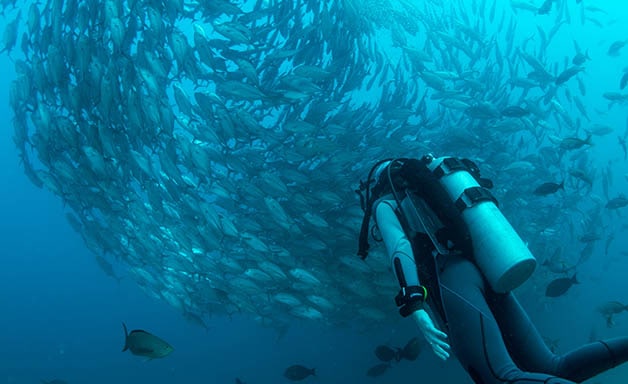 diving locations in EU
