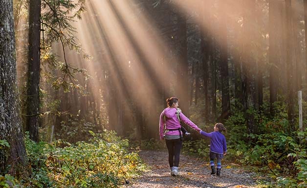 Family friendly walks in Cork