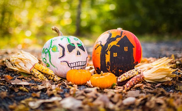 Top Halloween events for kids in Ireland