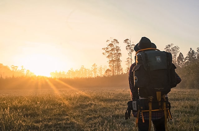 Tourist man wear big backpack against sun light back view