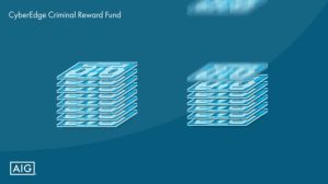 aig-cyberedge-criminal-reward-fund