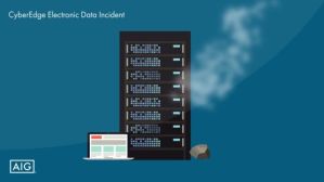 aig-cyberedge-electronic-data-incident-auto