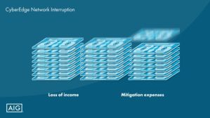 aig-cyberedge-network-interruption
